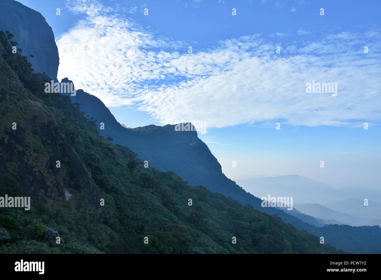'Viste rinfrescanti di Agasthyarkoodam Riserva della Biosfera" - Splendida vista della valle Agasthyarkoodam. Foto Stock