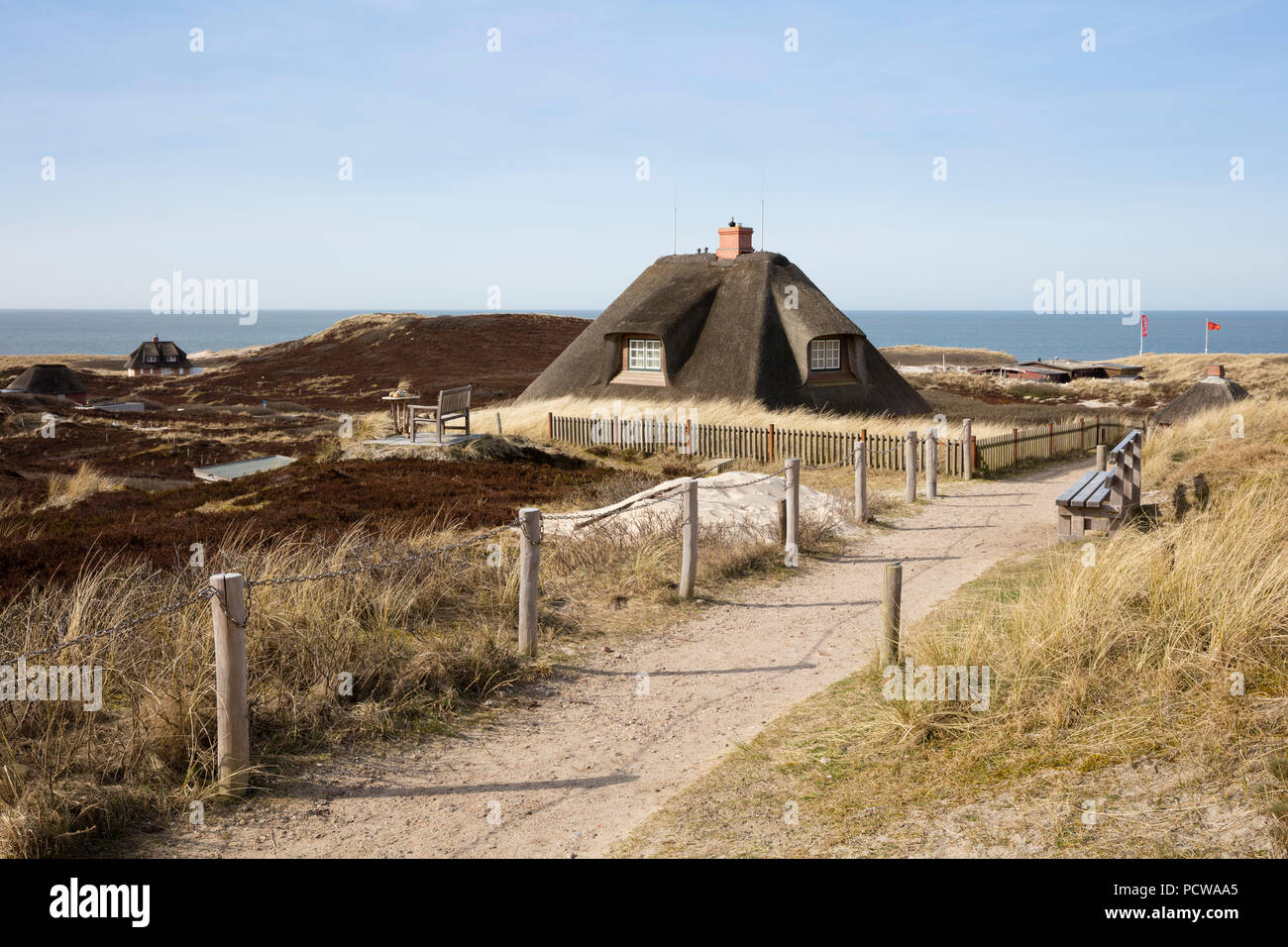 Paesaggio di dune a Hörnum, Sylt, Nord isola frisone, Frisia settentrionale, Schleswig-Holstein, Germania, Europa Foto Stock Paesaggio di dune a Hörnum, Sylt, Nord isola frisone, Frisia settentrionale, Schleswig-Holstein, Germania, Europa Foto Stock