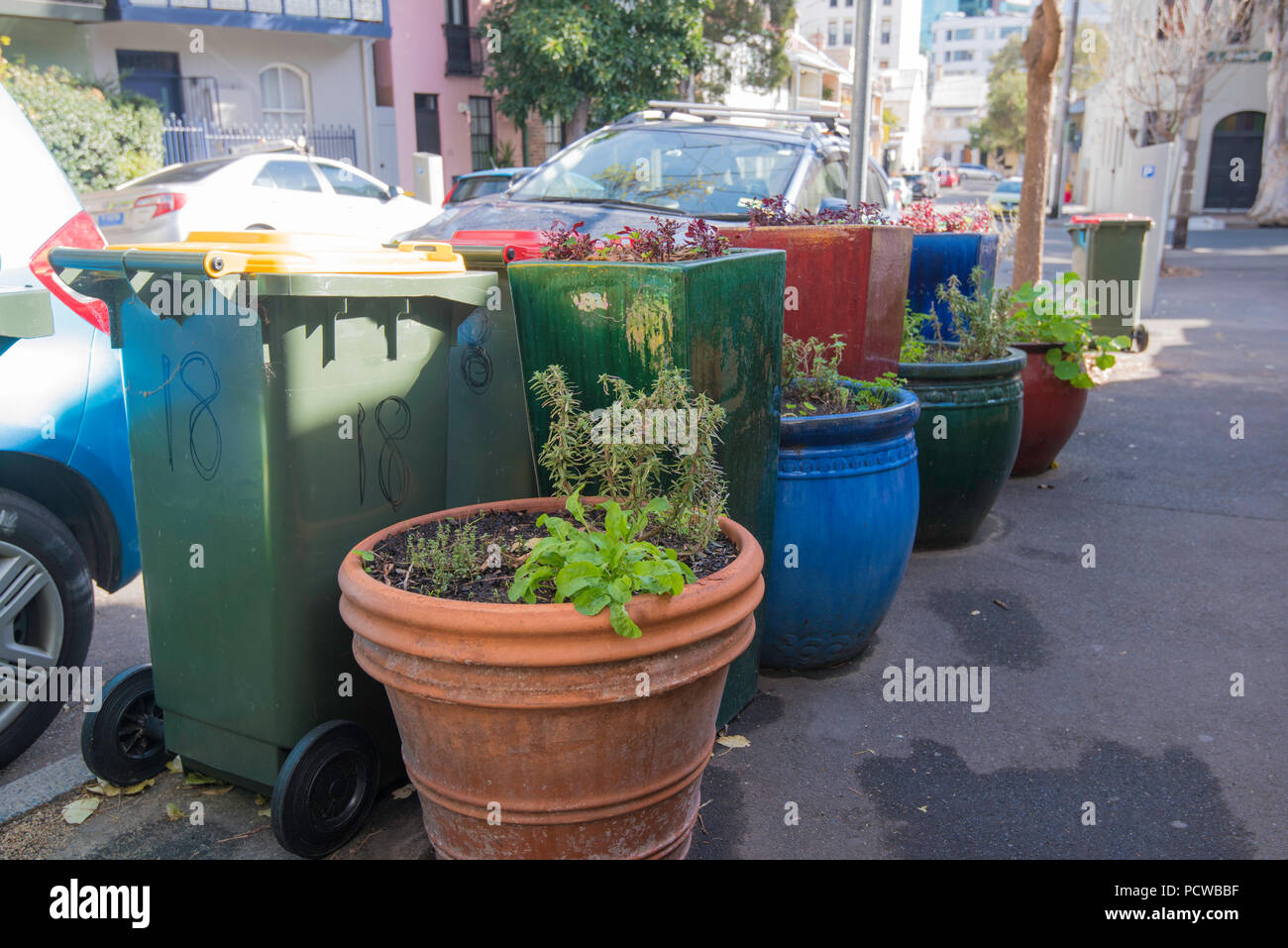 Vasi per giardino e piccole piante e arbusti che forniscono colore verde e su una strada in zone densamente popolate sobborgo di Surry Hills nella parte interna di Sydney Foto Stock