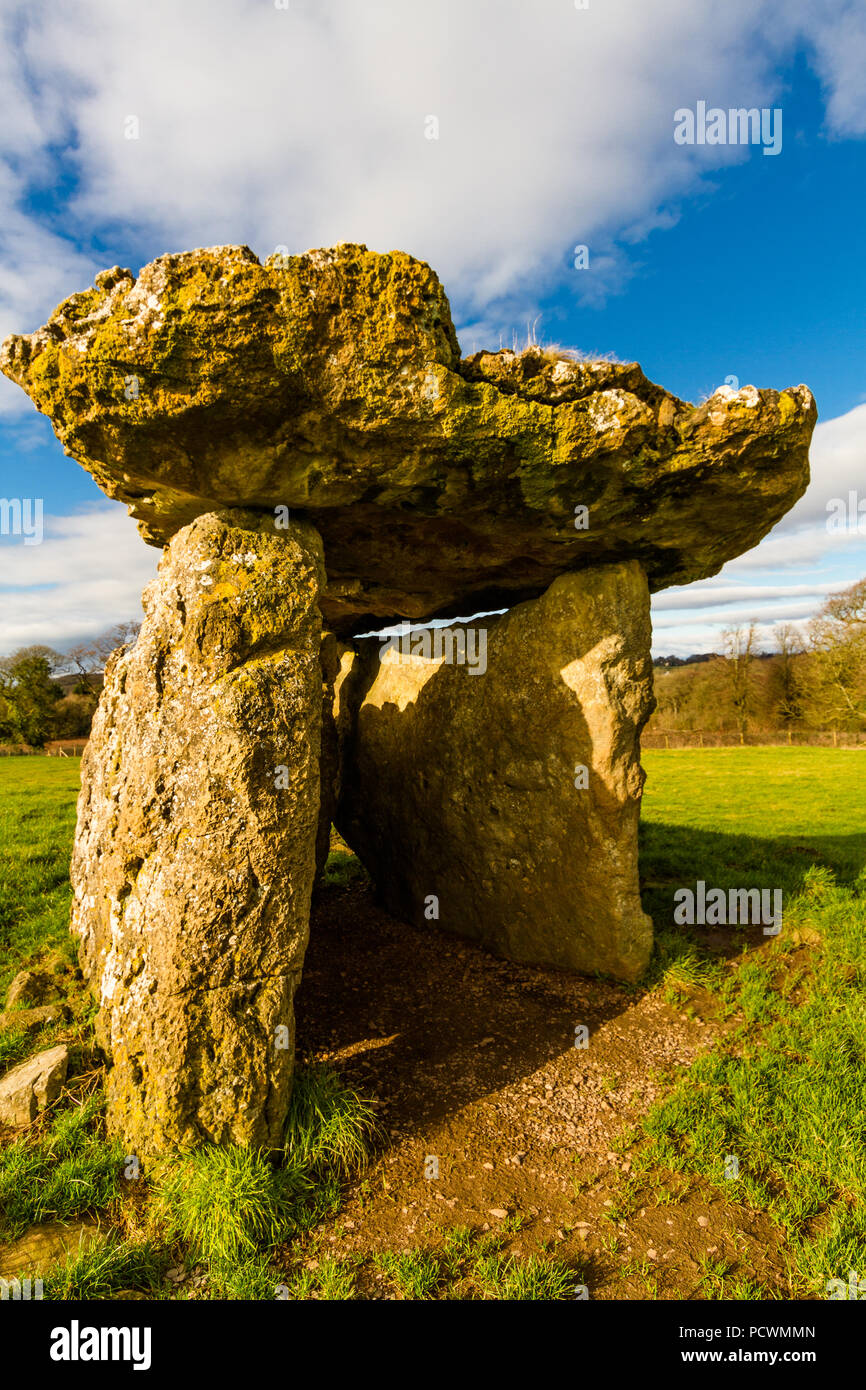 St Lythans sepoltura camera, chiamato anche gwal-y-filiast, lungo chambered cairn. Galles del Sud, Regno Unito. Foto Stock