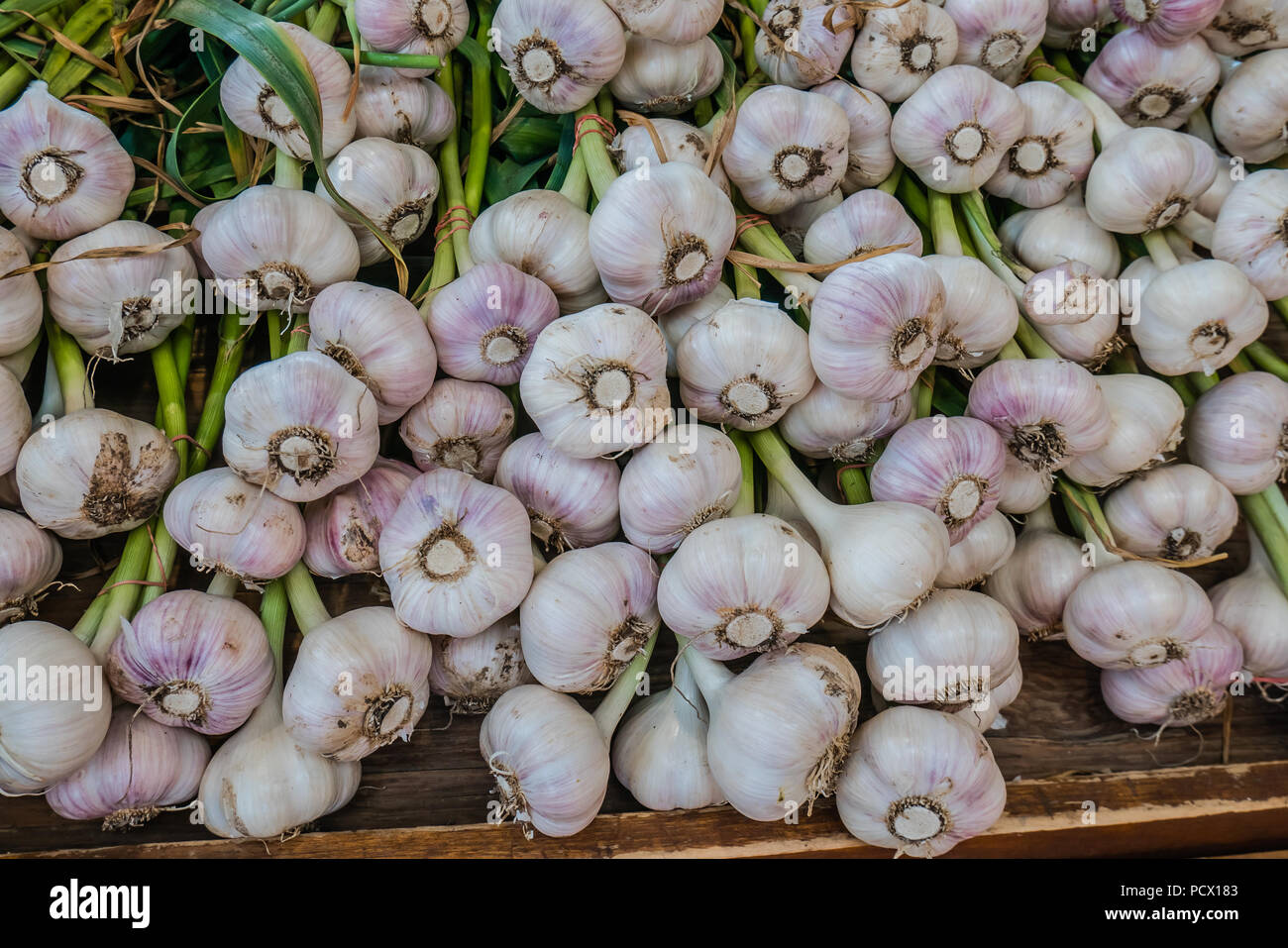 Jean Talon mercato il più grande degli agricoltori di prodotti freschi del mercato canadese di Montreal Foto Stock