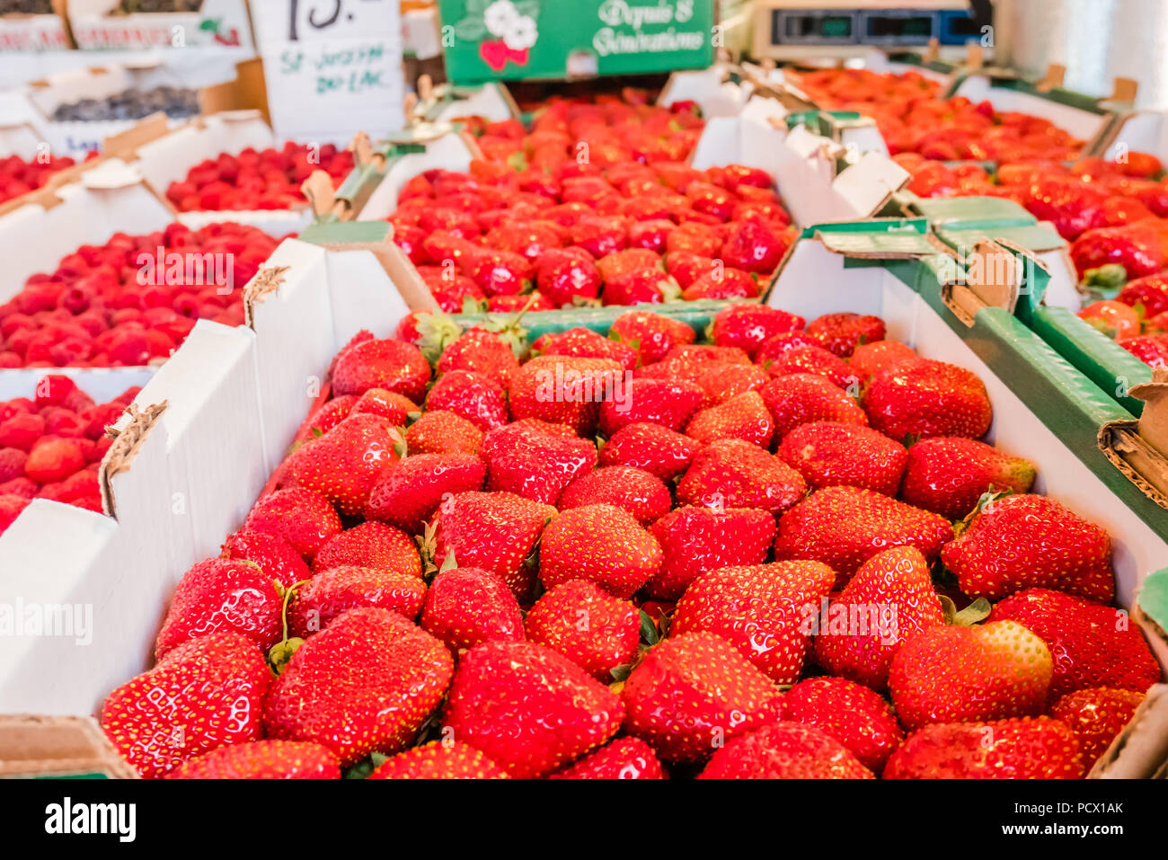 Jean Talon mercato il più grande degli agricoltori di prodotti freschi del mercato canadese di Montreal Foto Stock