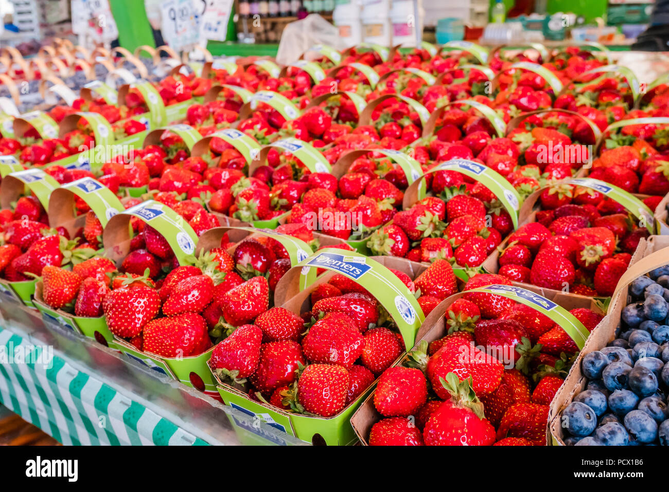 Jean Talon mercato il più grande degli agricoltori di prodotti freschi del mercato canadese di Montreal Foto Stock