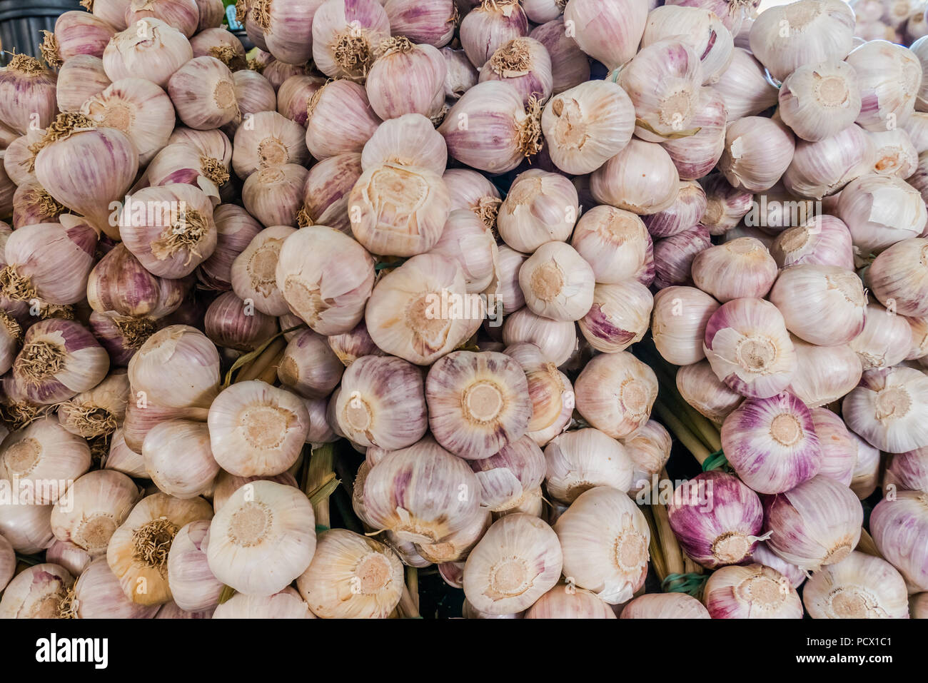 Jean Talon mercato il più grande degli agricoltori di prodotti freschi del mercato canadese di Montreal Foto Stock
