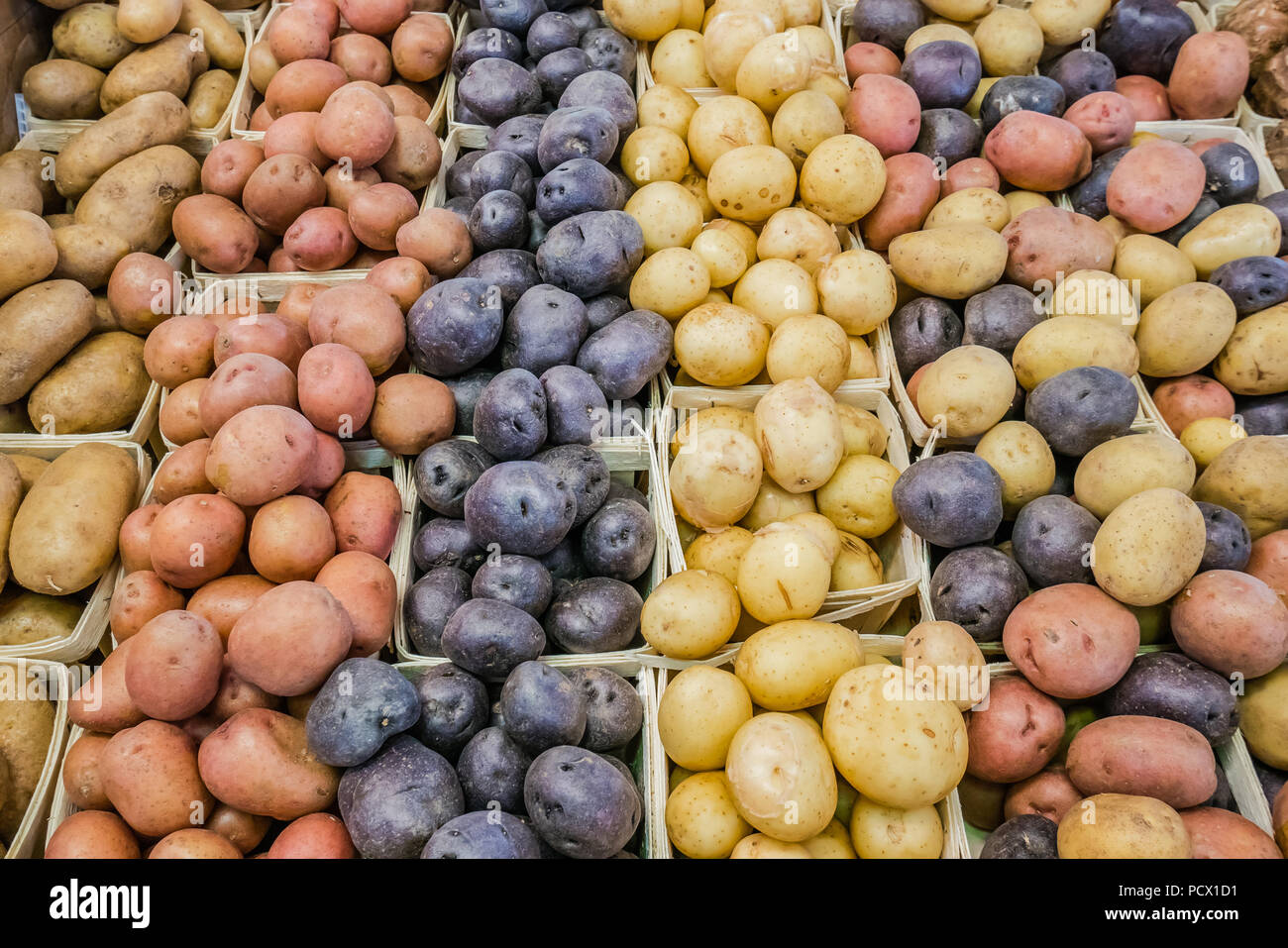 Jean Talon mercato il più grande degli agricoltori di prodotti freschi del mercato canadese di Montreal Foto Stock