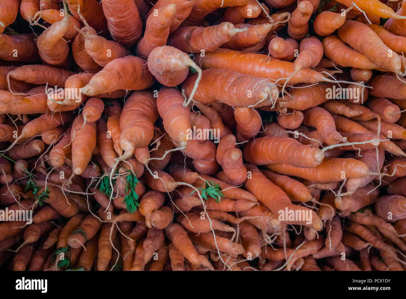 Jean Talon mercato il più grande degli agricoltori di prodotti freschi del mercato canadese di Montreal Foto Stock