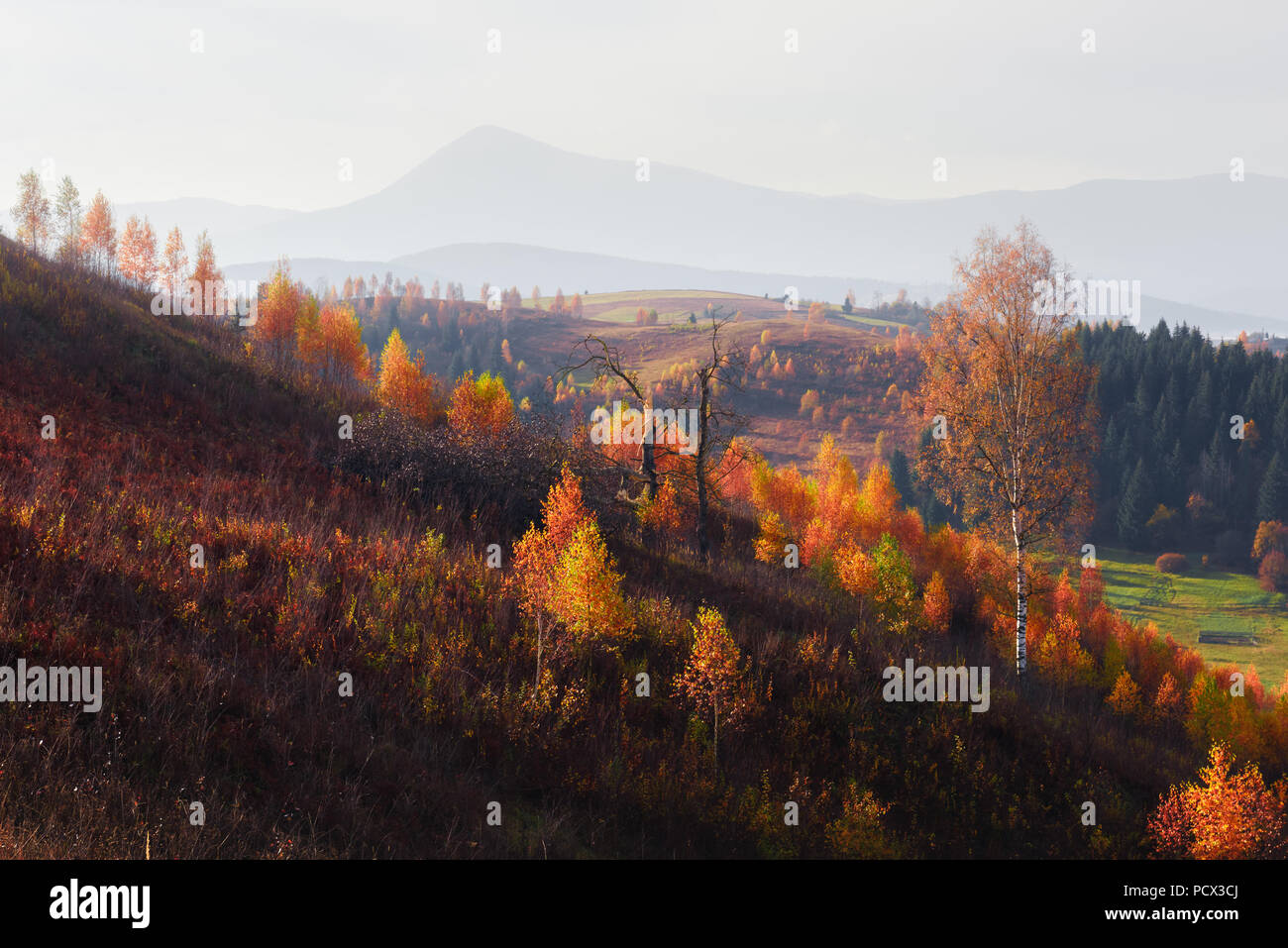 Scena spettacolare sulle montagne di autunno Foto Stock