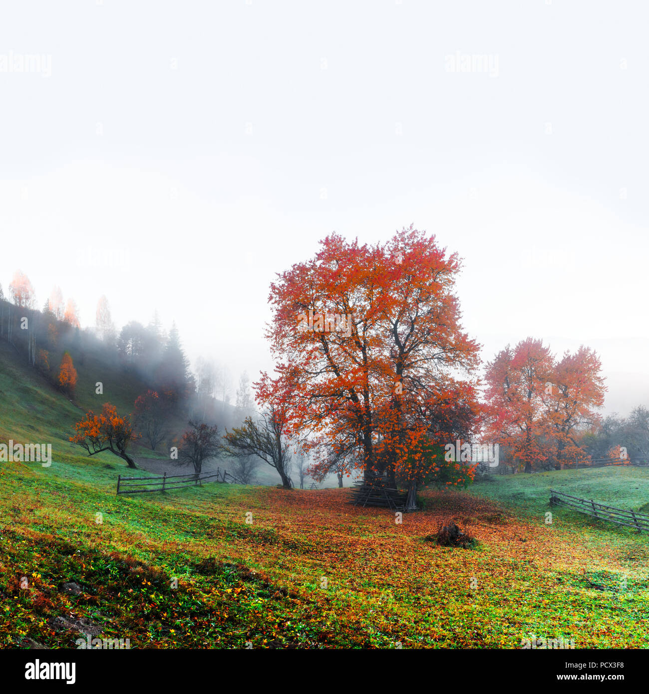 Incredibile scena rurale sulla valle di autunno Foto Stock