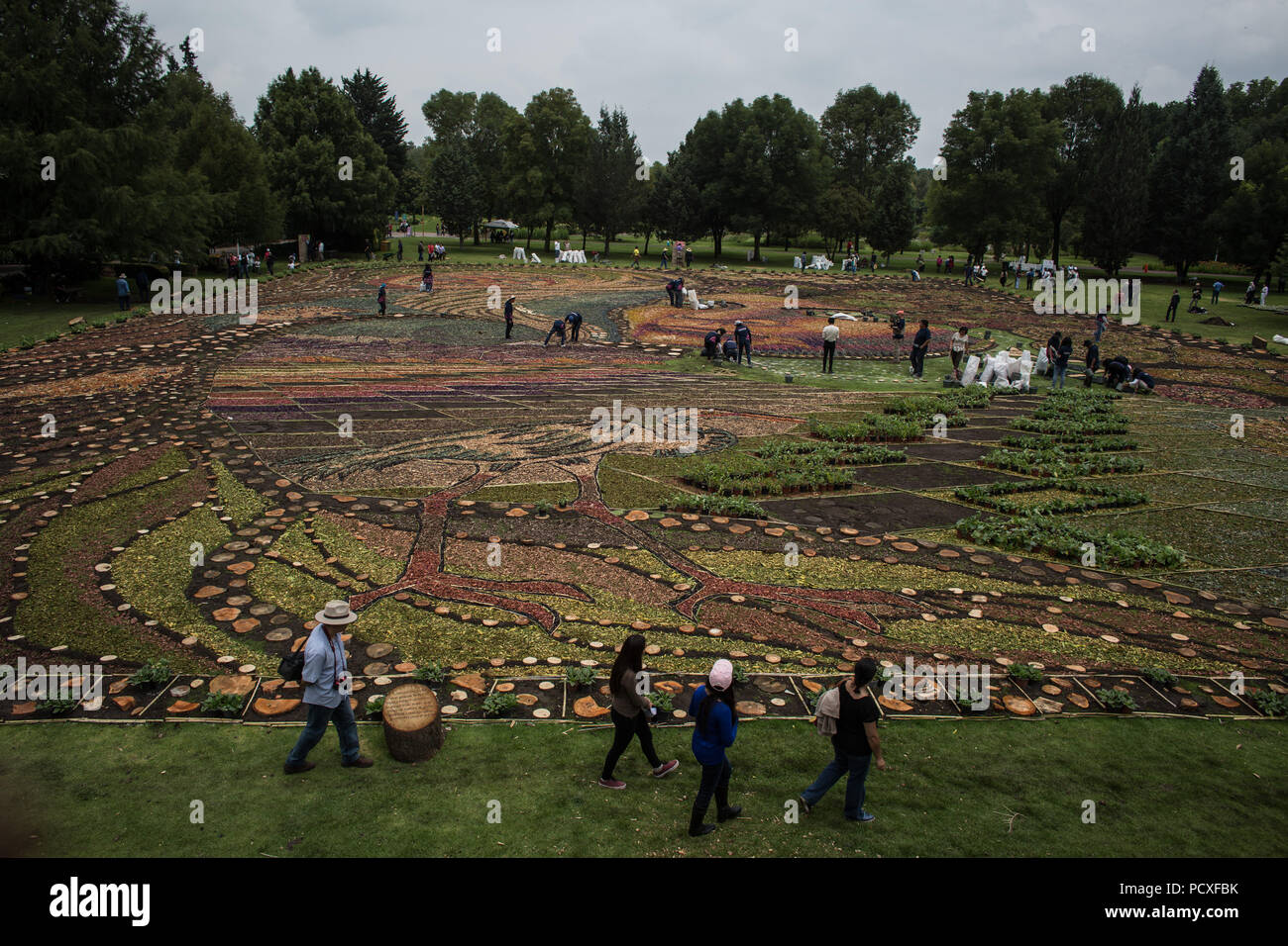 Tepotzotlan, Messico. Il 4° agosto 2018. Le persone fanno un 2.500 mq di tappeto di fiori durante la fiera dei fiori 2018 in Tepotzotlan, Messico, su Agosto 4, 2018. Credito: Miguel Tovar/Xinhua/Alamy Live News Foto Stock