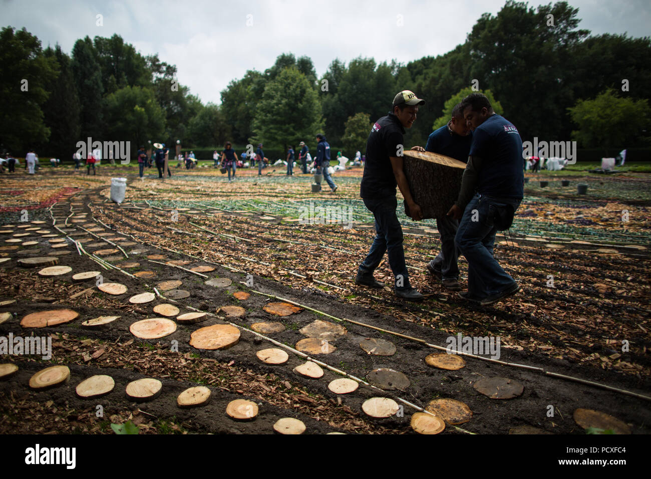 Tepotzotlan, Messico. Il 4° agosto 2018. Le persone fanno un 2.500 mq di tappeto di fiori durante la fiera dei fiori 2018 in Tepotzotlan, Messico, su Agosto 4, 2018. Credito: Miguel Tovar/Xinhua/Alamy Live News Foto Stock