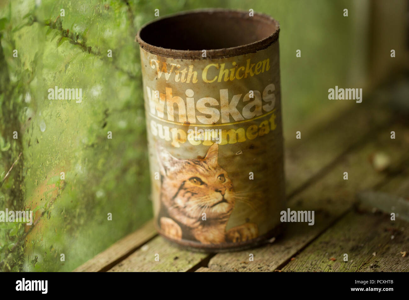 Un vecchio vuoto di stagno Whiskas Supermeat con pollo alimento di gatto in un legno vecchio Potting Shed. Lo stagno che è stato utilizzato per la memorizzazione di dadi e bulloni. Lancas Foto Stock