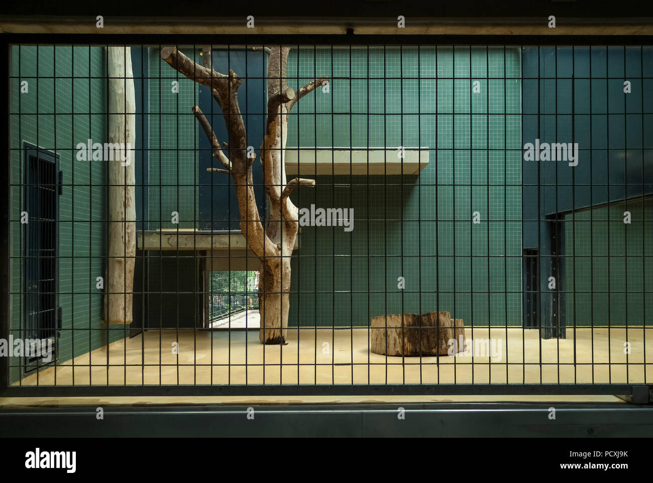 Vuota la gabbia interna in zoo. Foto Stock