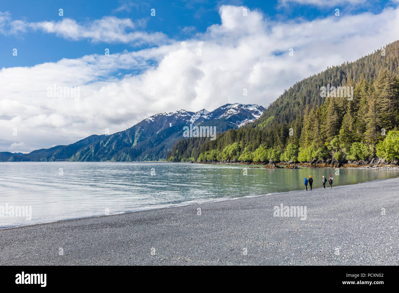 Persone su bech a Lowell punto sulla risurrezione Bay di Seward Alaska Foto Stock