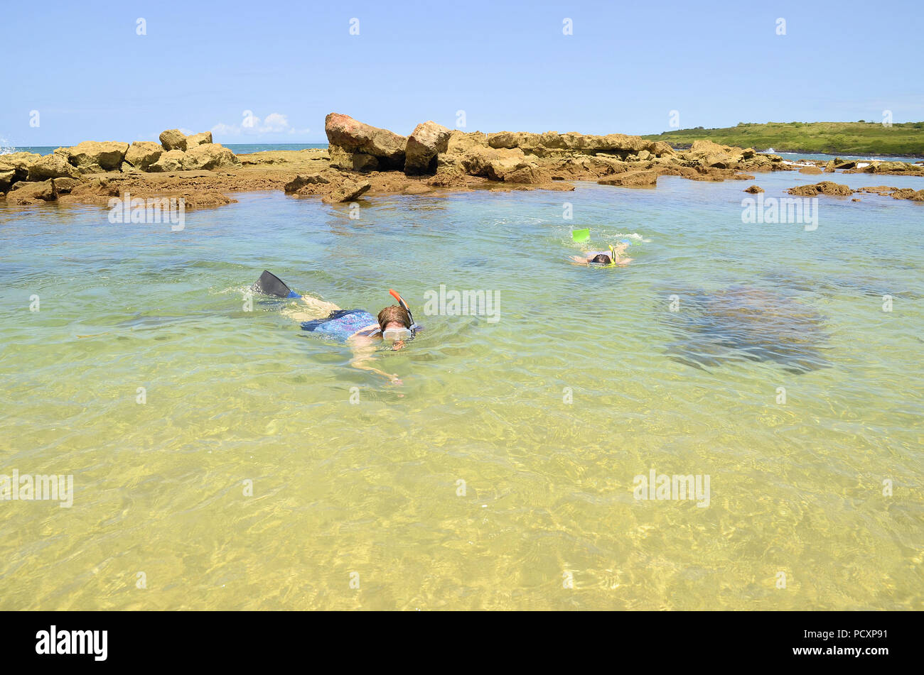 Snorkeling presso Poipu Beach Park a Koloa sull'Isola di Kauai nelle Hawaii. Foto Stock