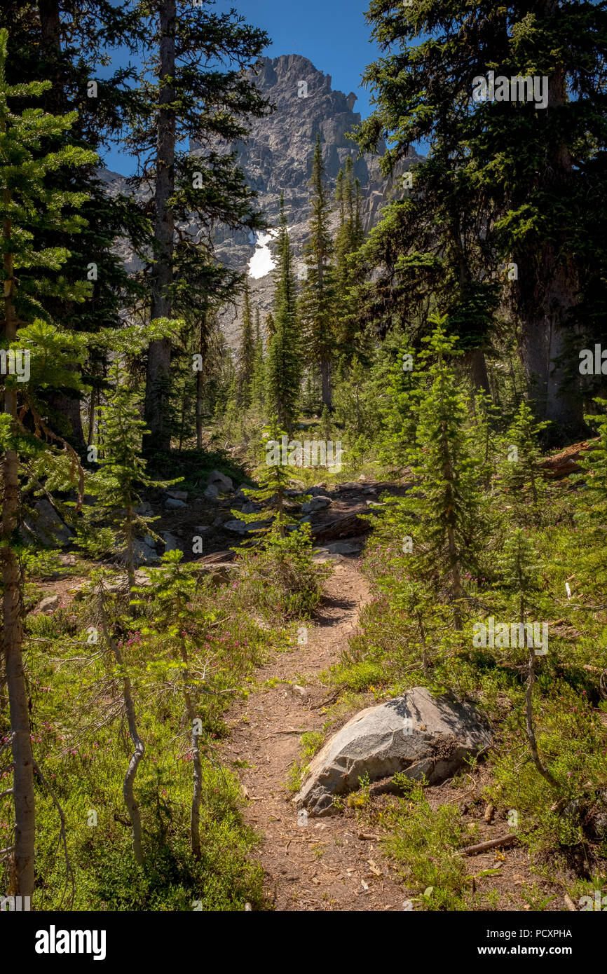 Deserto trail in Idaho conduce ad un picco di montagna in sette demoni recreation area Foto Stock