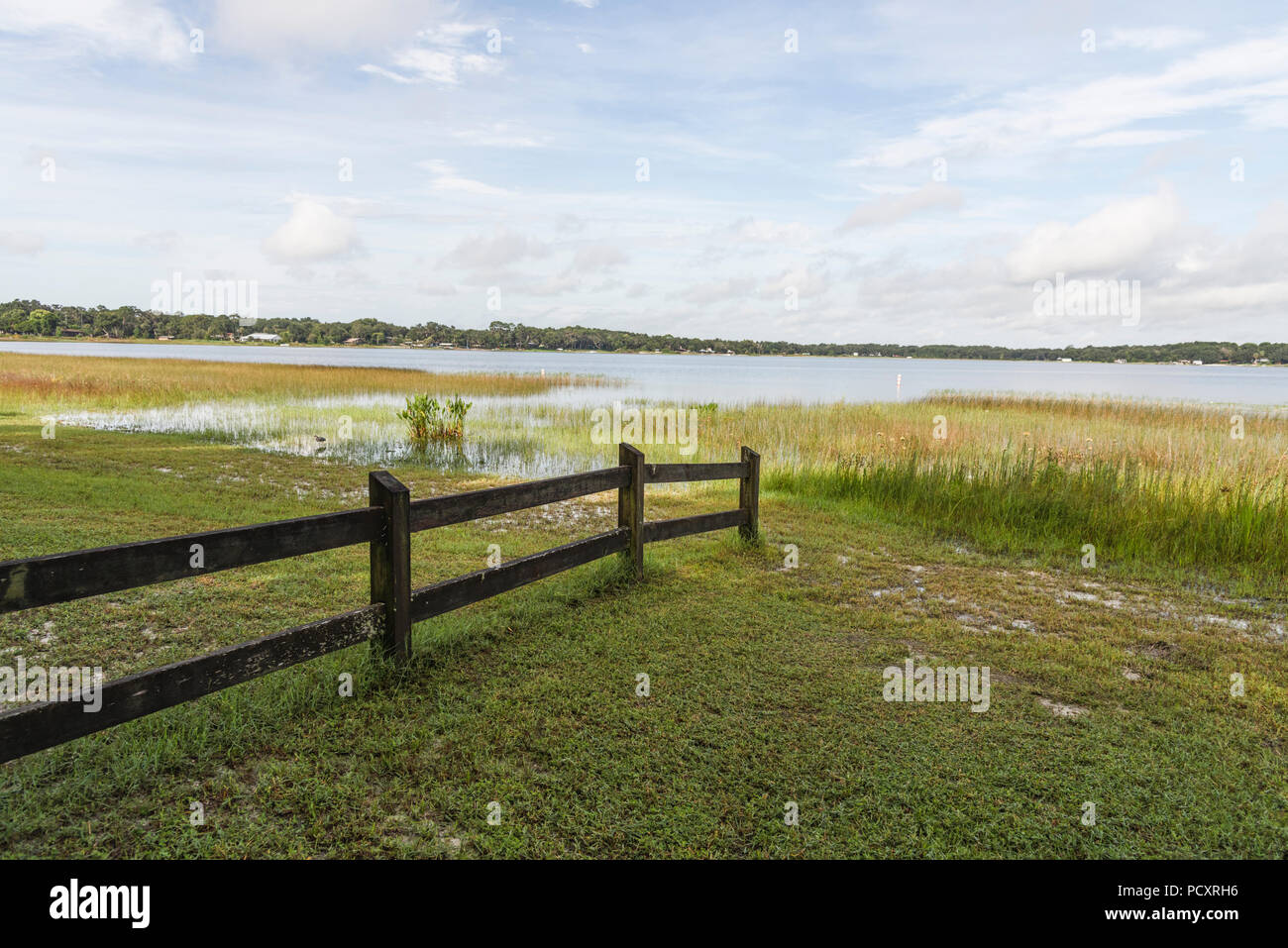 Dalle rive del lago di sbarramento in Marion County, Florida Foto Stock