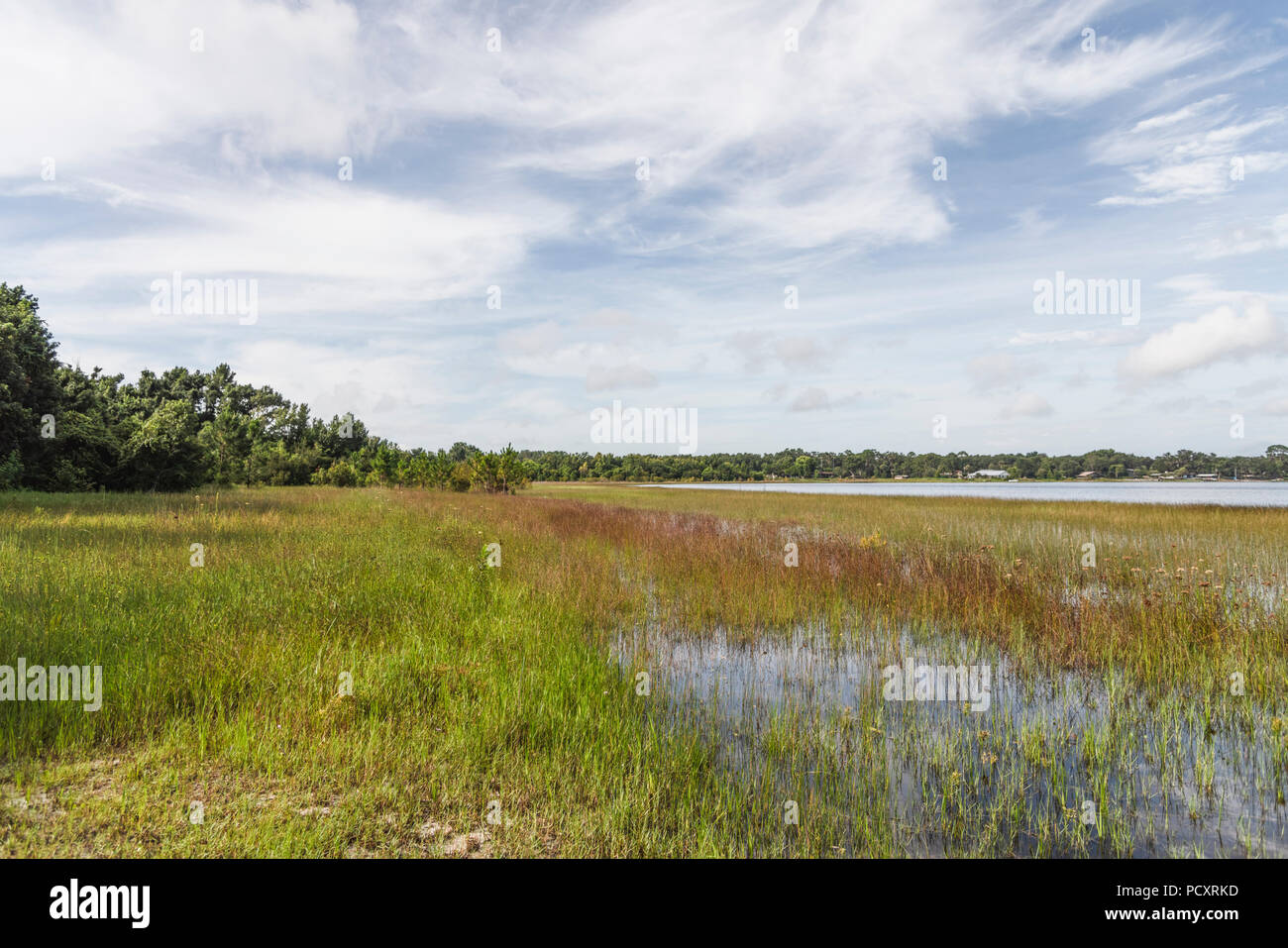 Dalle rive del lago di sbarramento in Marion County, Florida Foto Stock