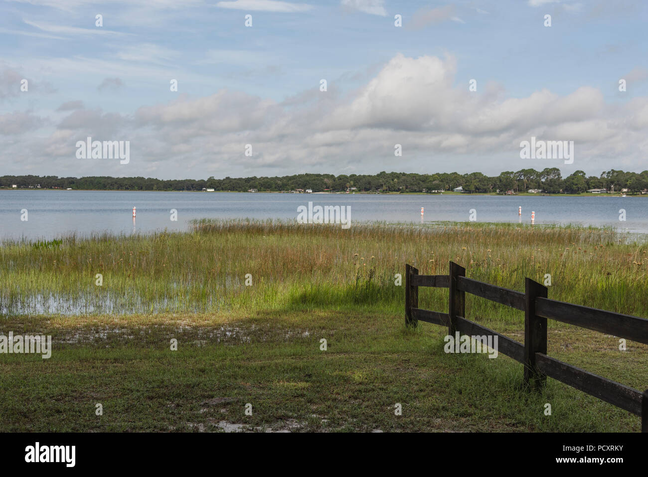 Dalle rive del lago di sbarramento in Marion County, Florida Foto Stock