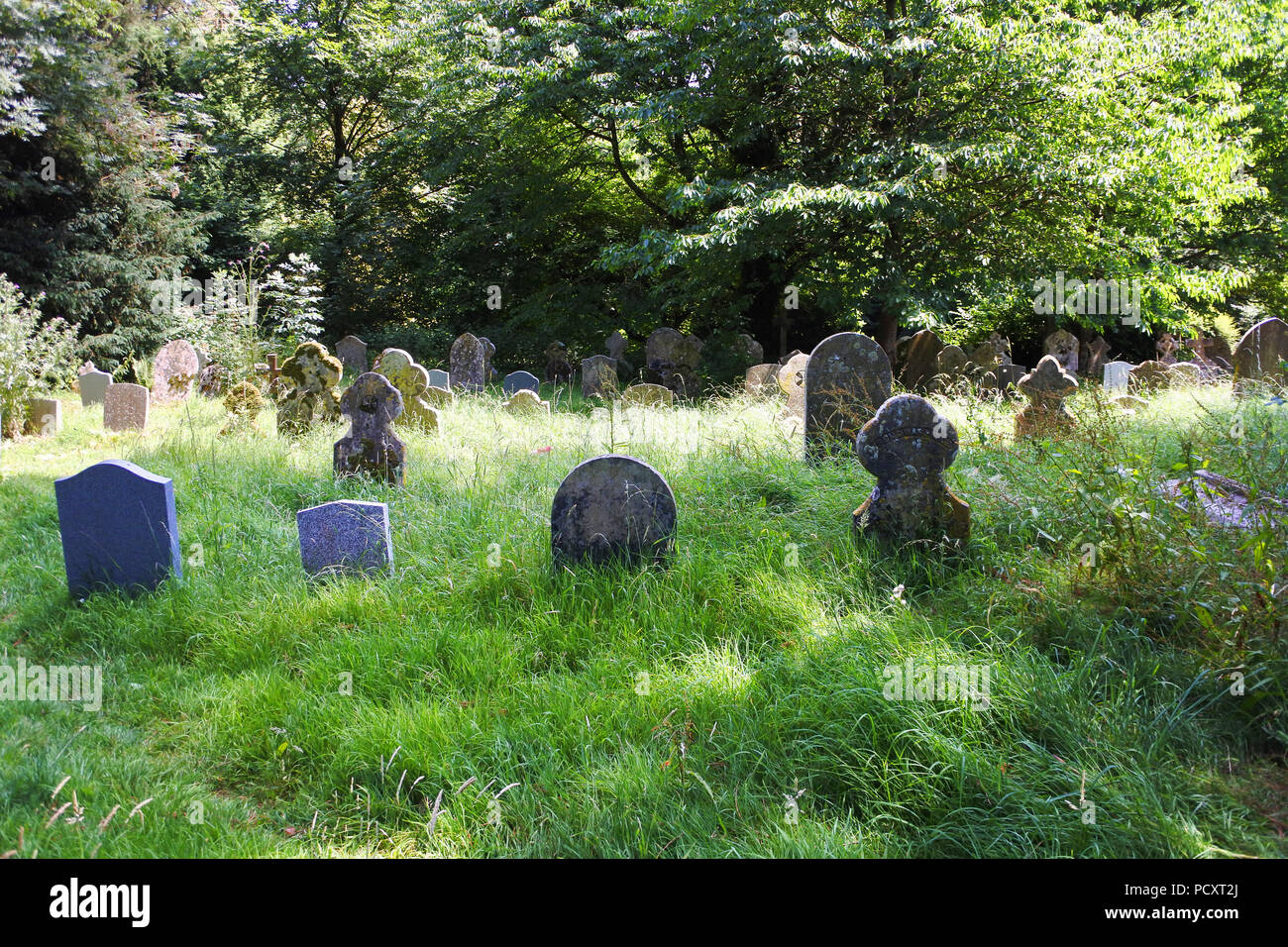 Lapidi del cimitero, Netherbury, Dorset, Regno Unito - Giovanni Gollop Foto Stock