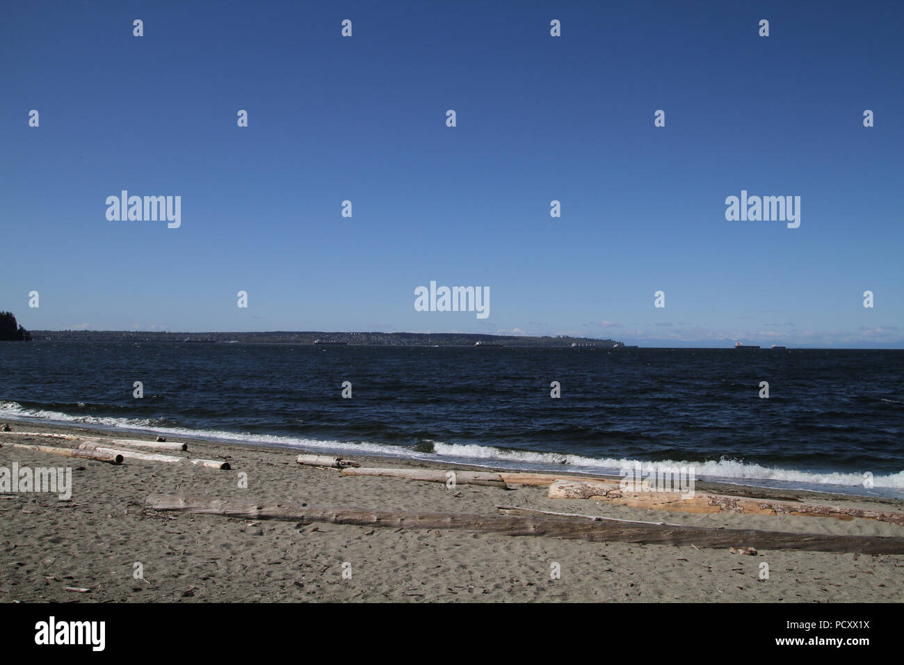 Una spiaggia sul bordo di una baia guardando attraverso l'acqua ad una alberata terra di massa. Ci sono dei registri e driftwood situato sulla spiaggia. Foto Stock