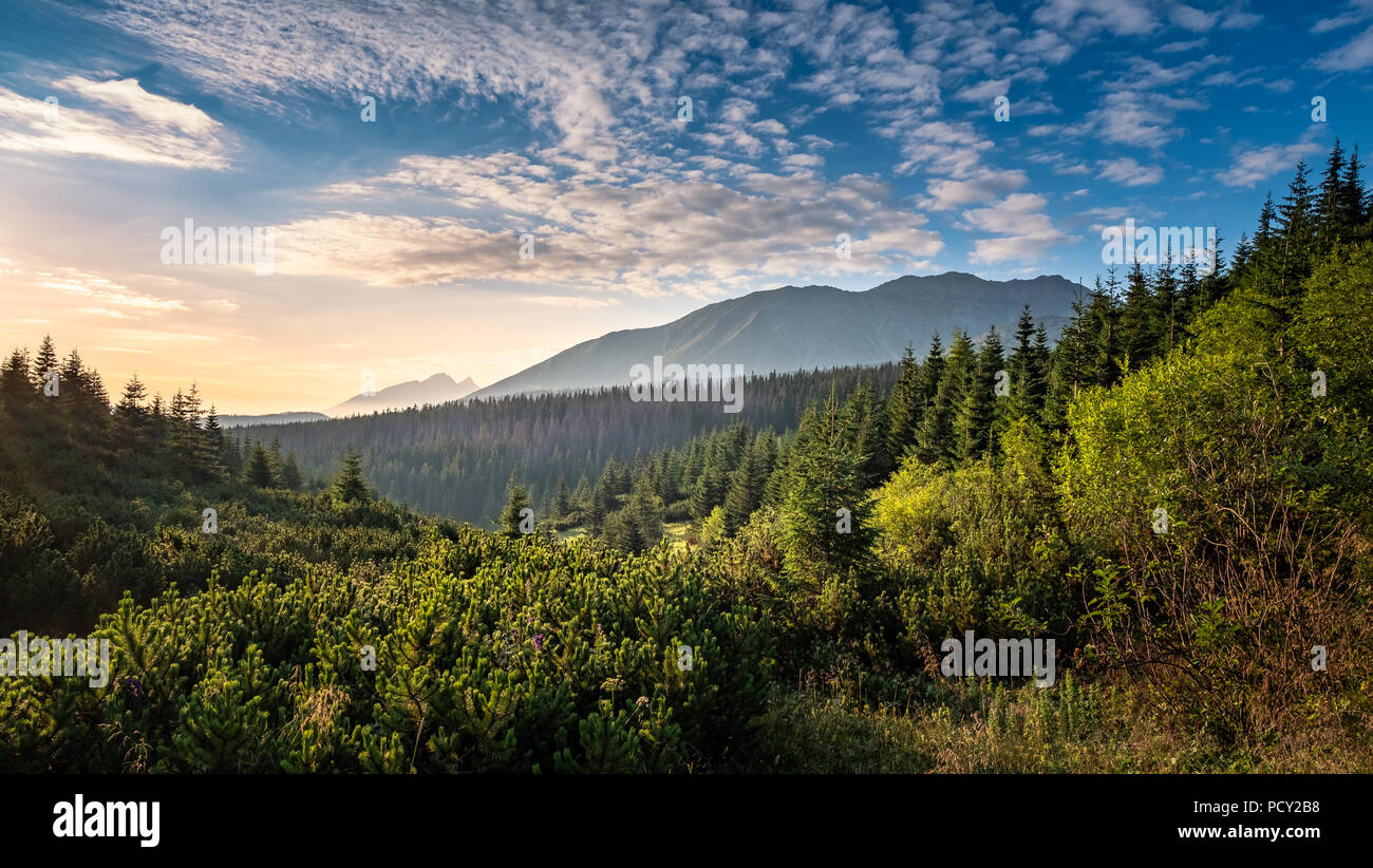 Scenic mountain view con umore sunrise in mattinata estiva nel parco nazionale dei Alti Tatra, Polonia Foto Stock