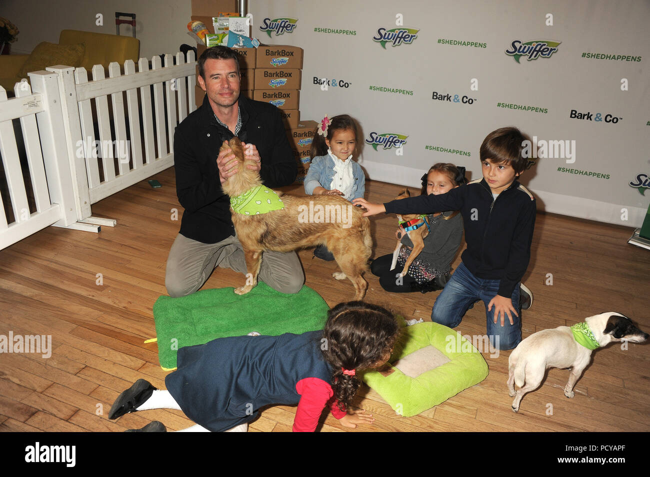 NEW YORK, NY - novembre 12: Attore Scott Foley assiste la vacanza Pet adozione evento a 101 Wooster Street a Novembre 12, 2015 a New York City. Persone: Scott Foley Foto Stock