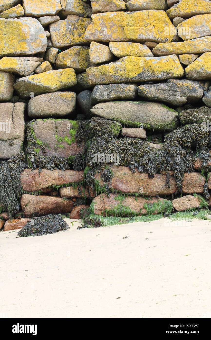 Parete di roccia Mousehole Harbour Cornovaglia Foto Stock