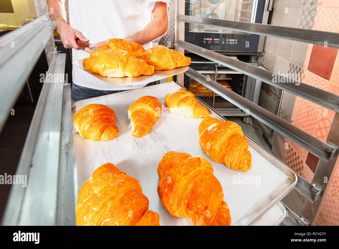 Il panettiere mantiene caldo croissant freschi contro lo sfondo del forno. Croissant close-up. Foto Stock