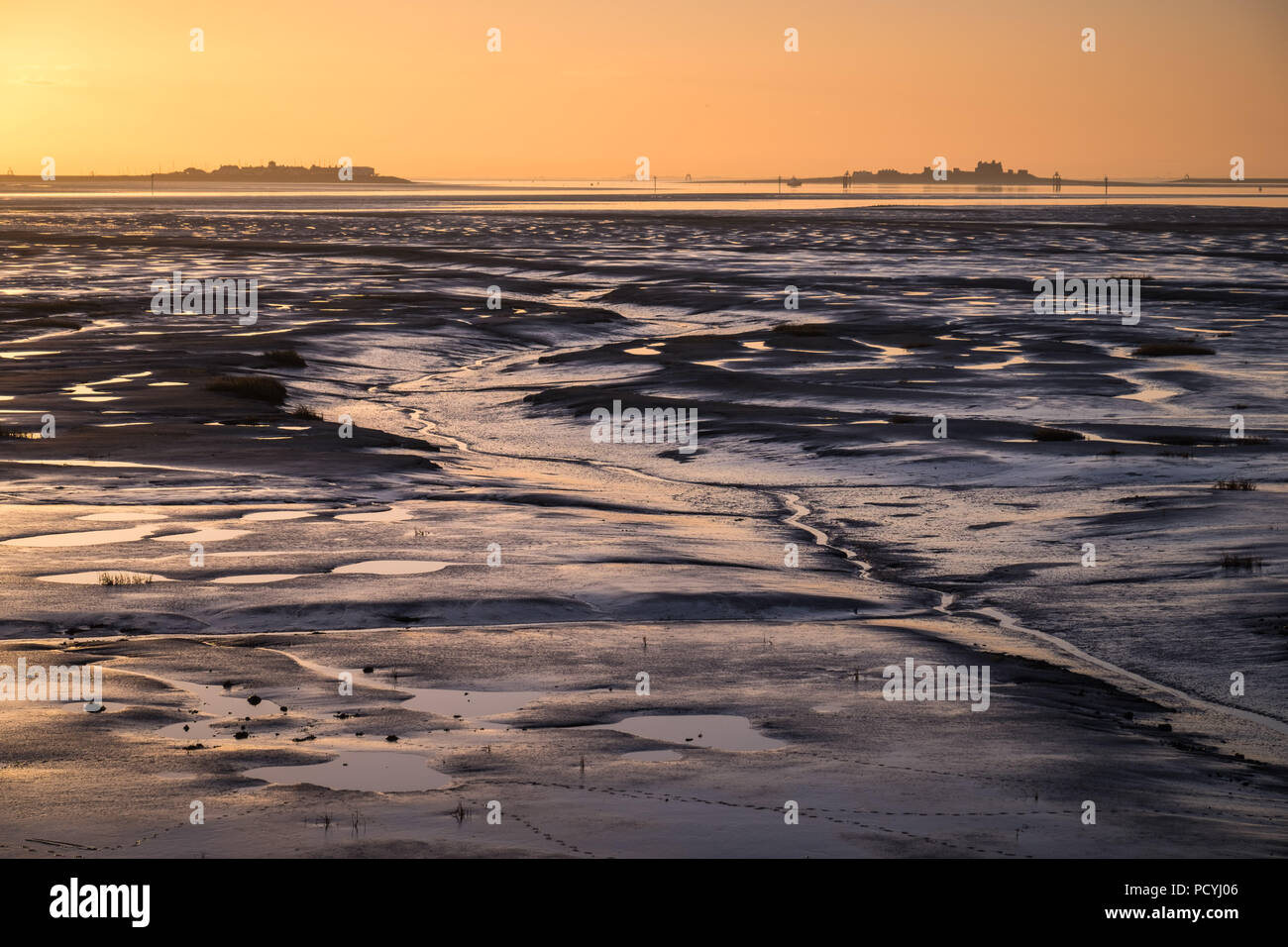 Appartamenti di fango in Barrow-in-Furness durante il sunrise Foto Stock