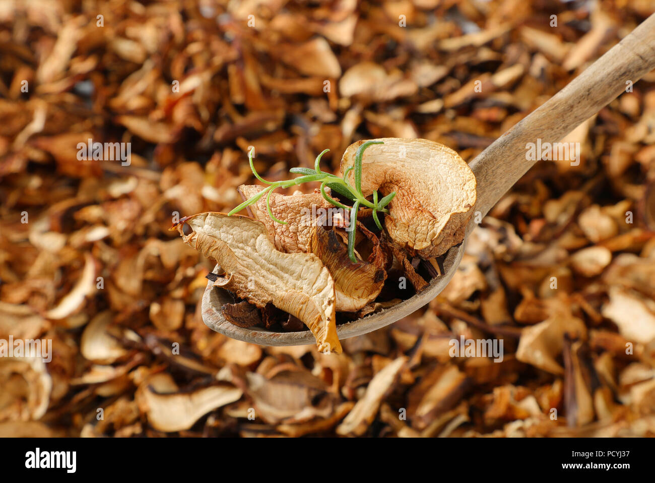 I funghi secchi nel cucchiaio di legno Foto Stock
