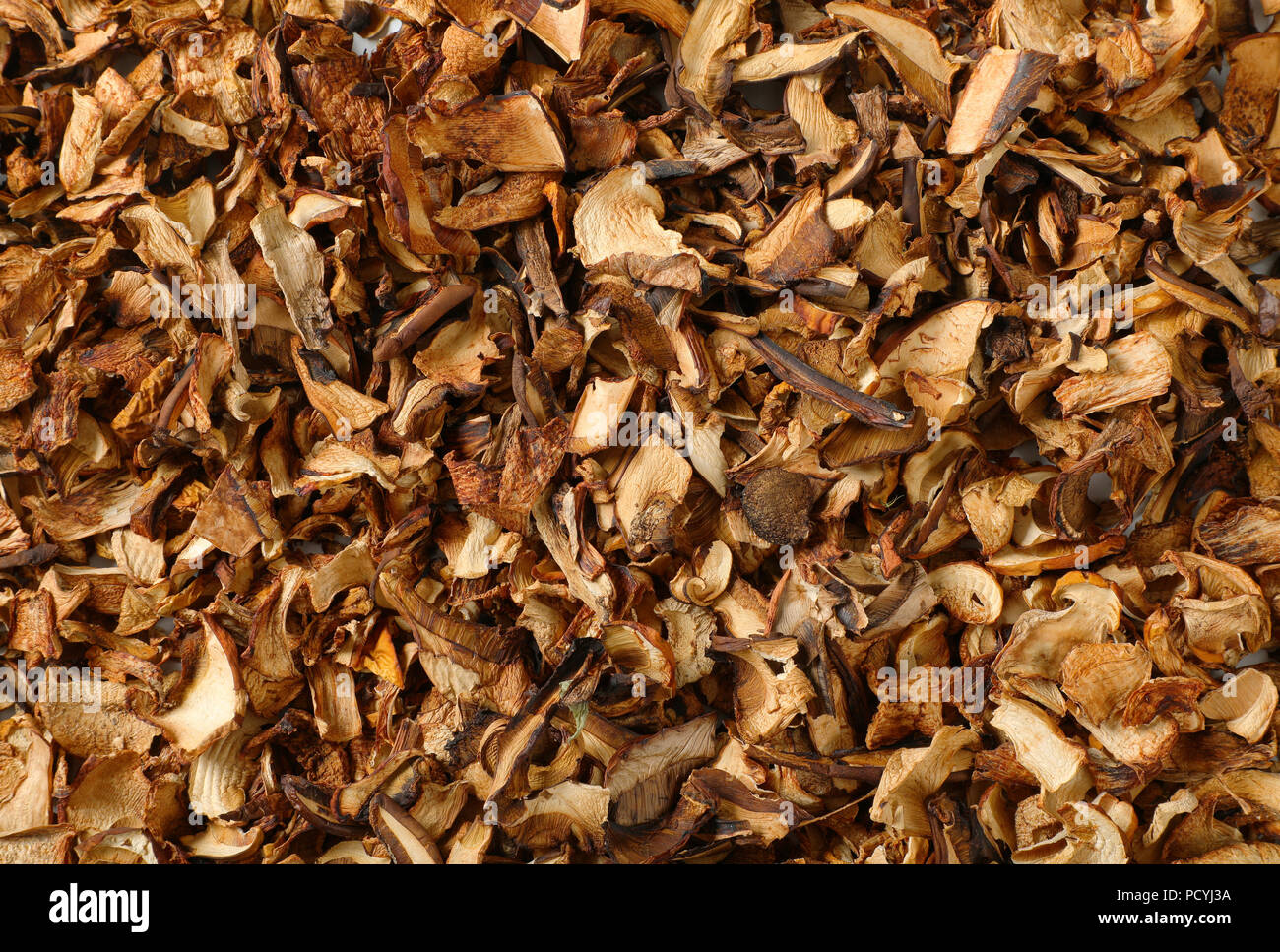 Funghi secchi come sfondo Foto Stock