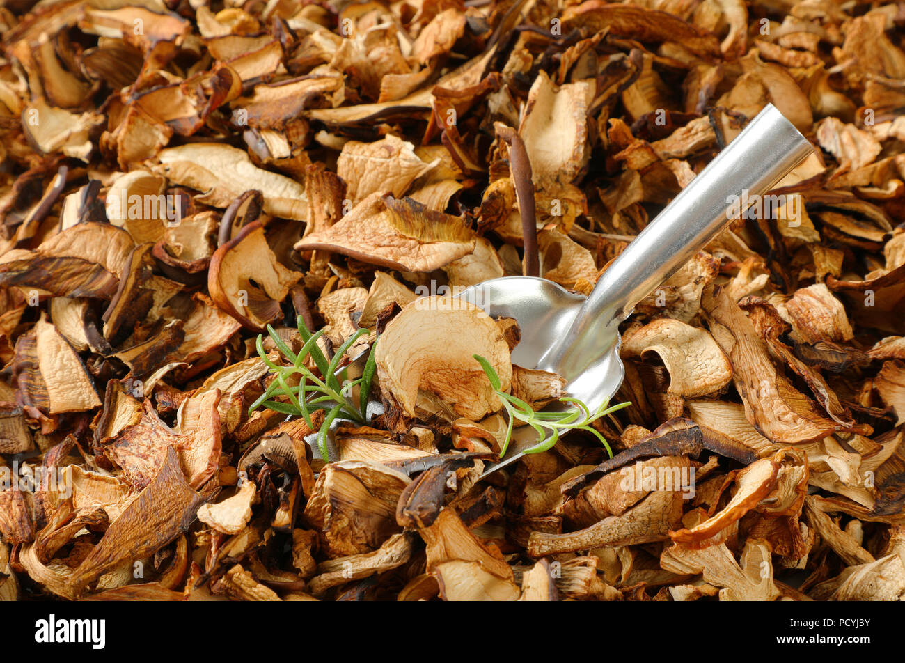 Scoop di funghi secchi su sfondo di funghi Foto Stock