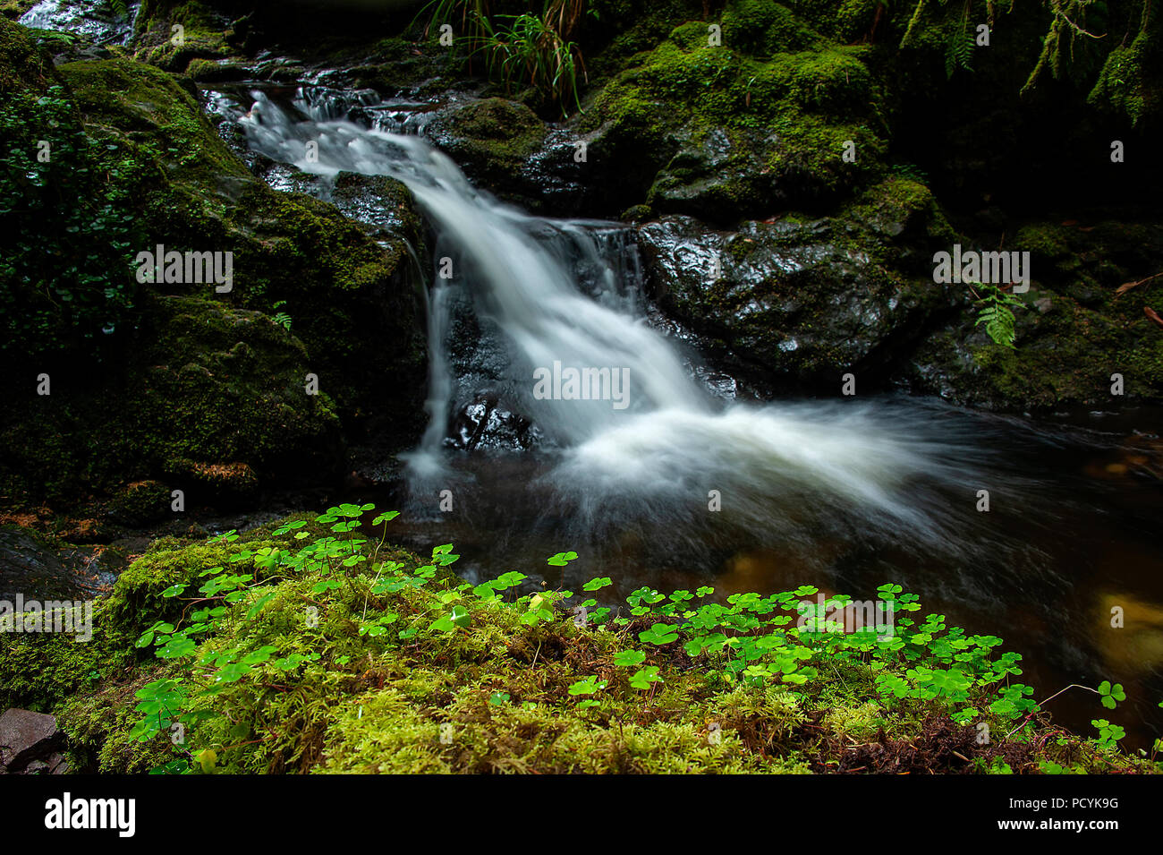 Di Puck Glen cascate, Argyll Forest Park, Scozia Foto Stock