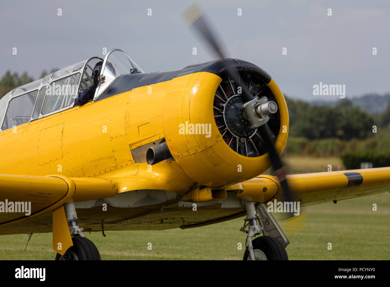 Vista frontale di un storico North American T-6 Texano Harvard aeroplano Foto Stock