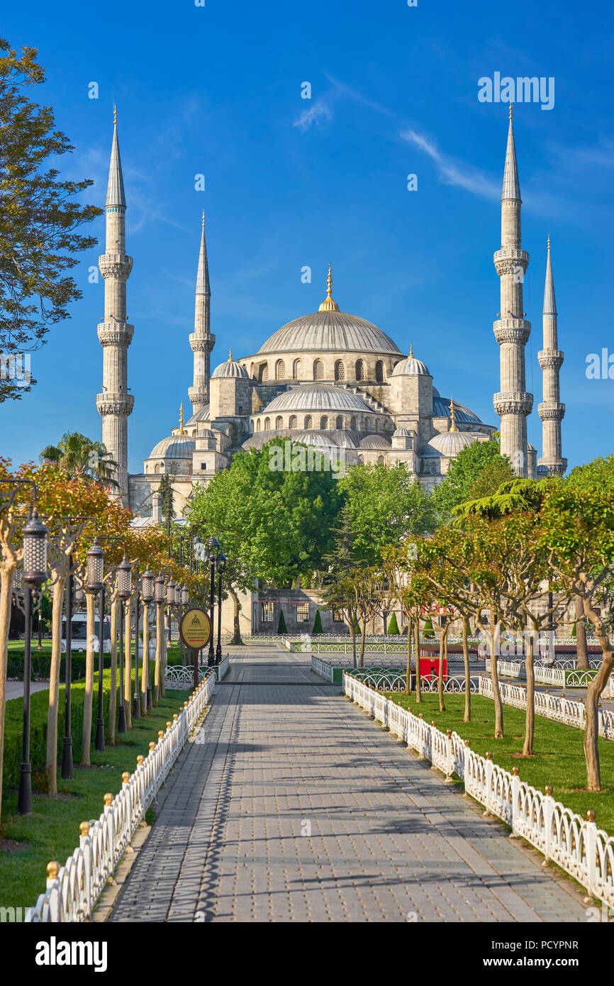 La Moschea Blu, Sultan Ahmed moschea, Sito Patrimonio Mondiale dell'UNESCO, Istanbul, Turchia Foto Stock