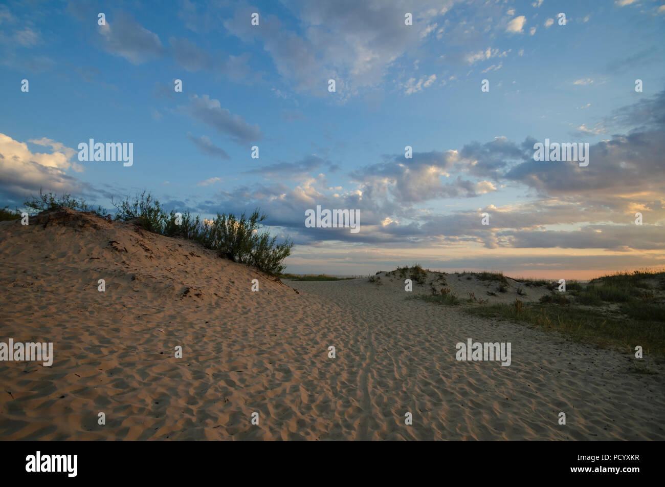 Dune di sabbia e cielo. Stagionatura Foto Stock