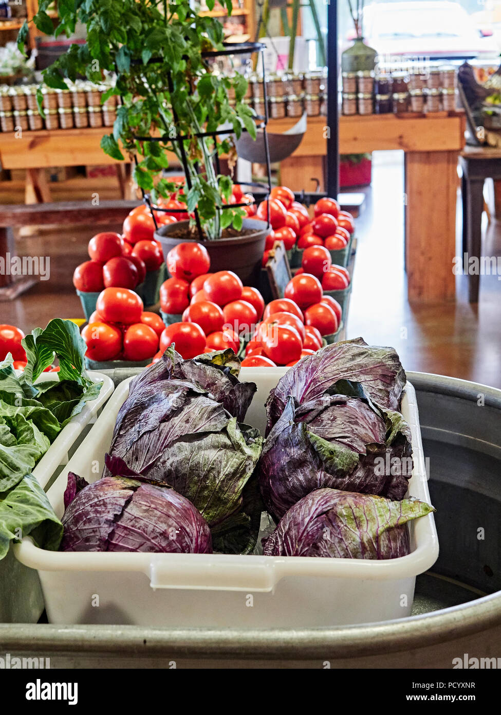 Fresco di cavolo rosso, basilico e pomodori sul display, per la vendita, in una fattoria sul ciglio della strada o mercato agricolo nelle regioni rurali in Alabama, Stati Uniti d'America. Foto Stock