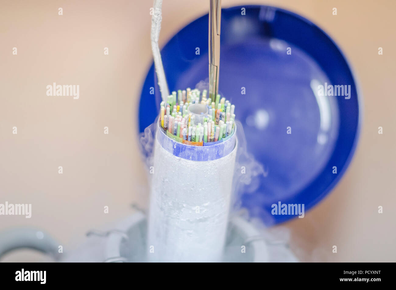 Pallone con materiale genetico e campioni genetici Foto Stock