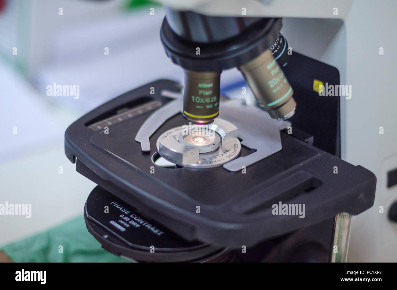 Microscopio in laboratorio Foto Stock