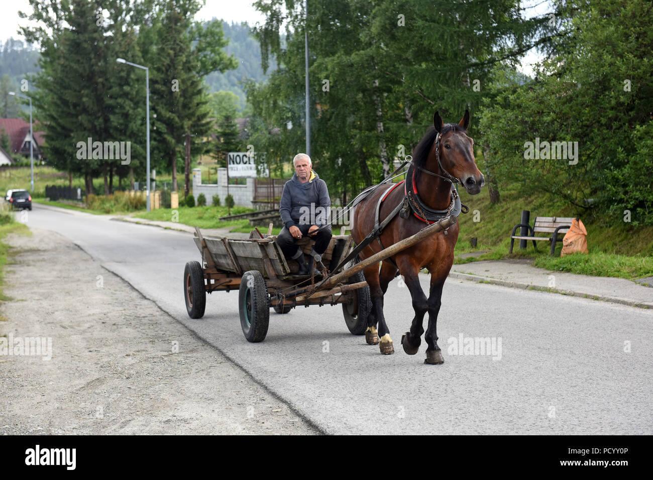 Agricoltore forestazione utilizzando il cavallo e la spesa in Poronin vicino a Zakopane Poland Foto Stock