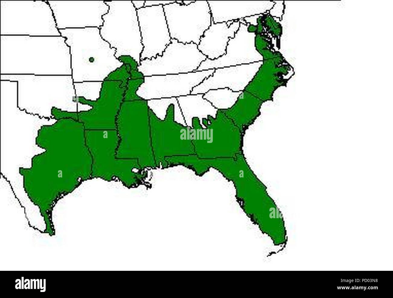 American ranocchio verde mappa per intervalli. Foto Stock
