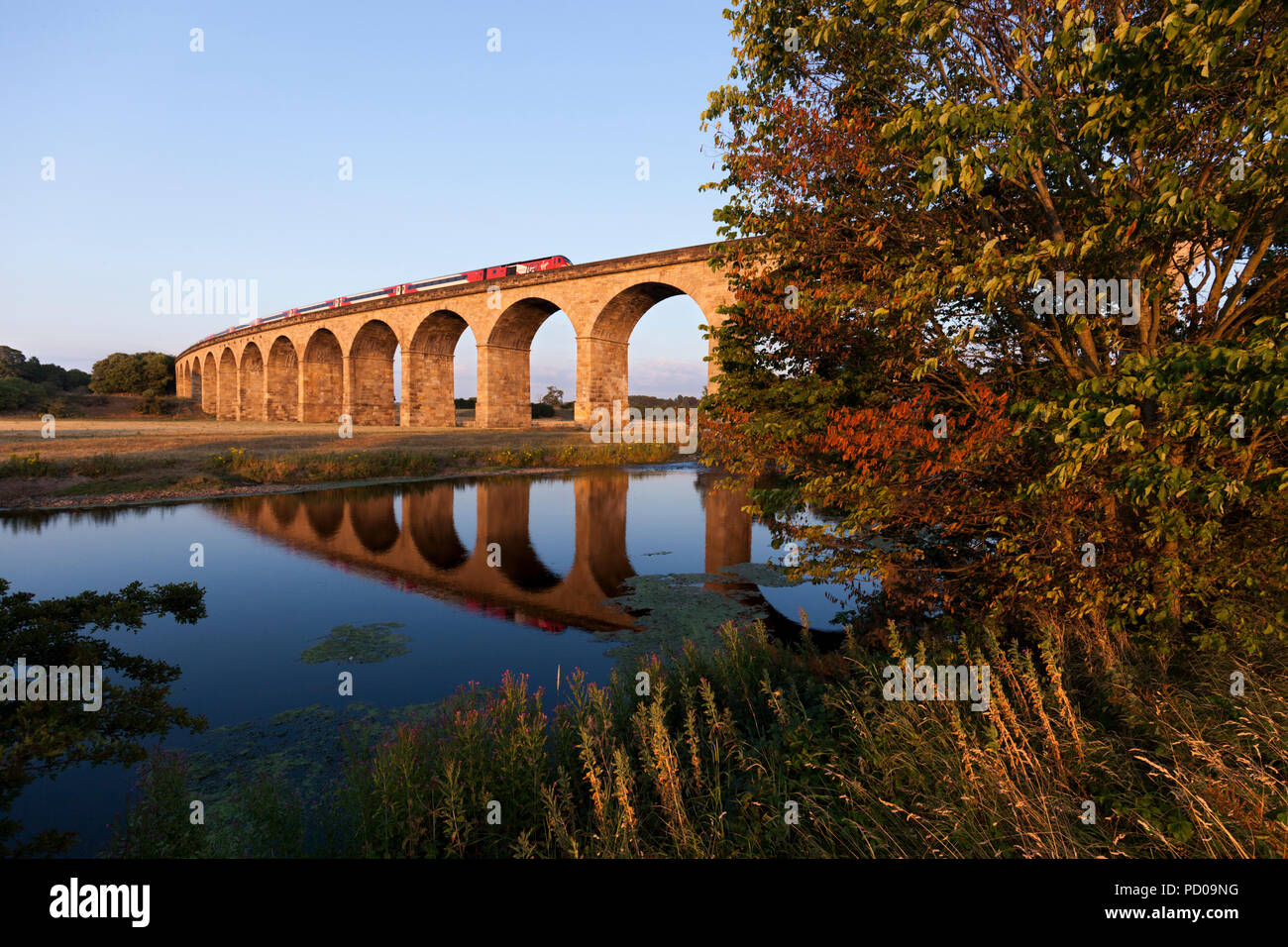 Un LNER treno ad alta velocità ( intercity 125 ) porta ancora vergine di attraversamento dei loghi Wharfedale viadotto sulla linea a Harrogate Foto Stock