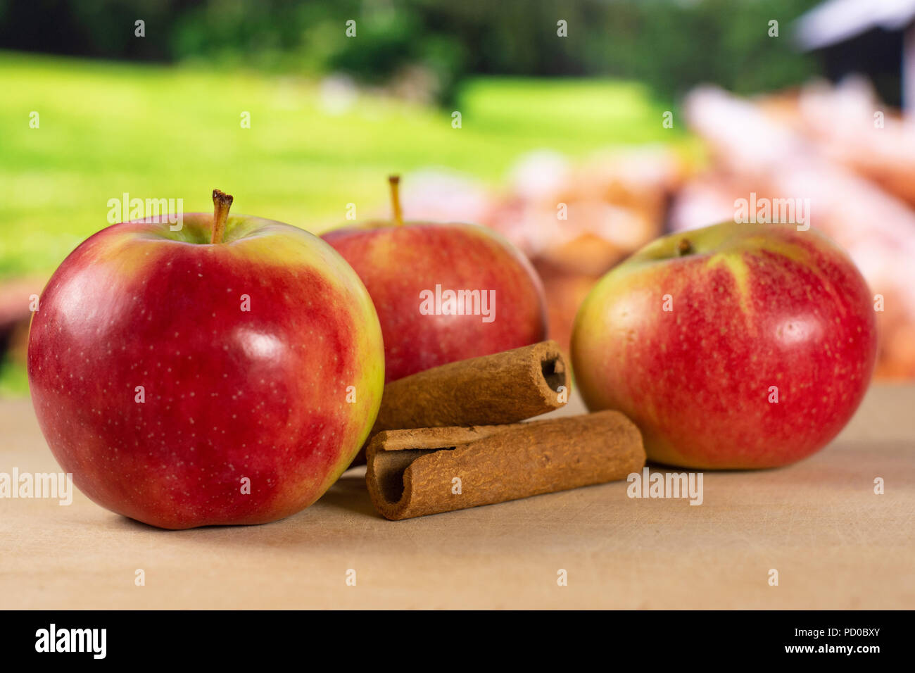 Gruppo di tre intere fresche apple rosso varietà James Grieve con bastoncini di cannella con la natura del paese in background Foto Stock