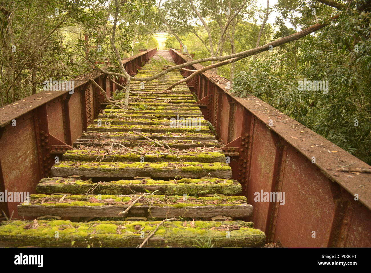 Davies Creek nei pressi di Mareeba Aeroporto, North Queensland. Foto Stock