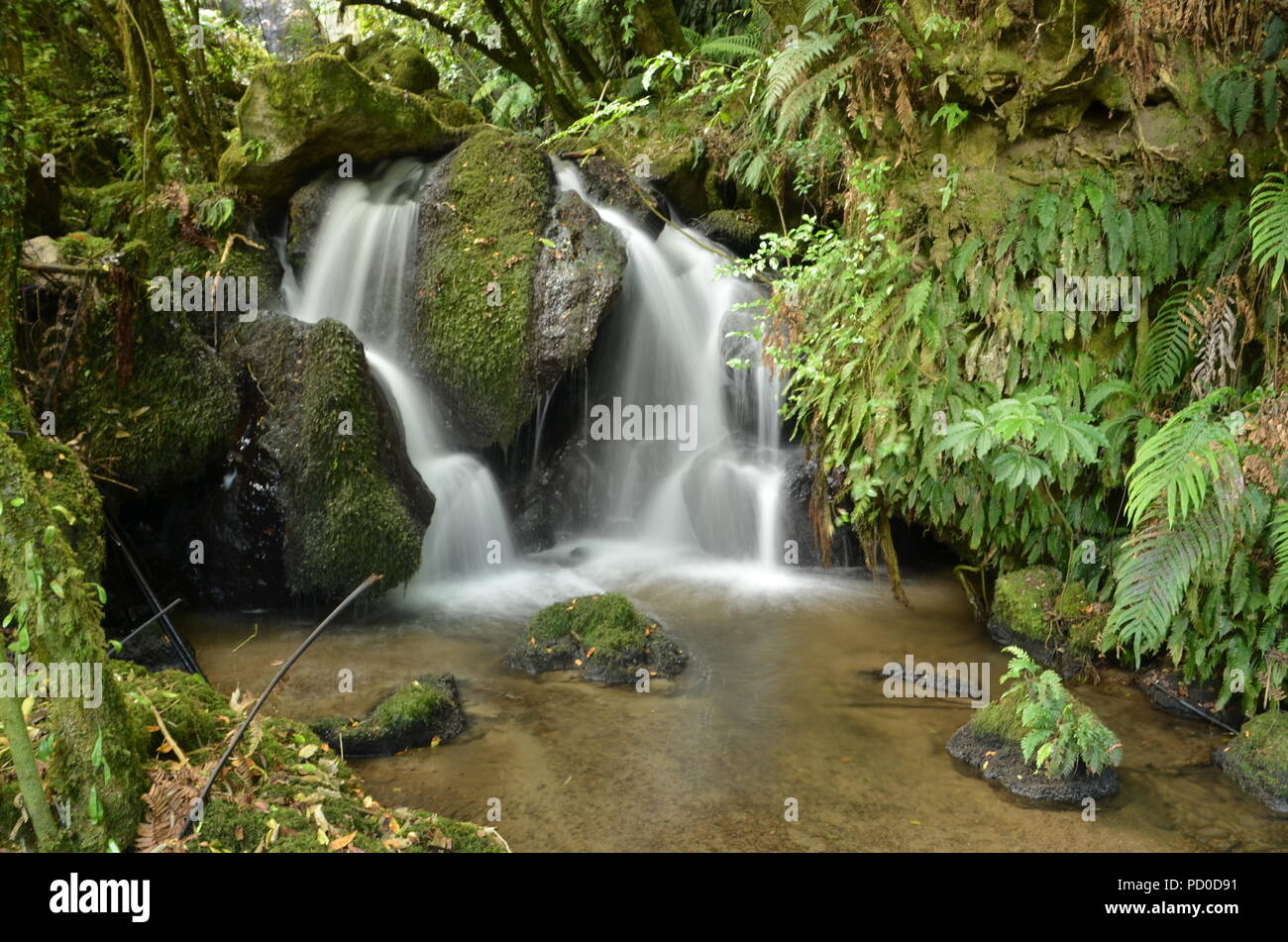 Davies Creek nei pressi di Mareeba Aeroporto, North Queensland. Foto Stock