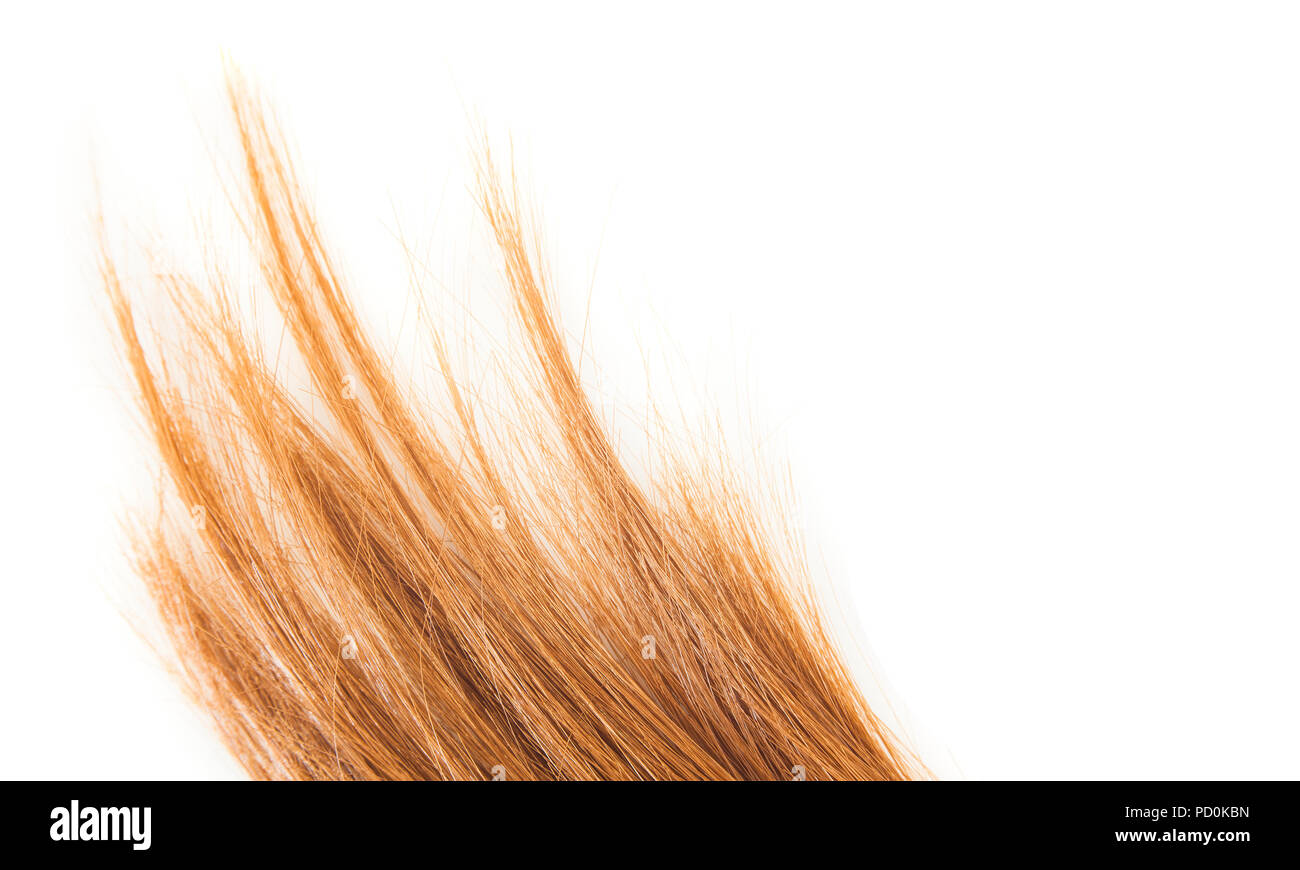 Marrone e lucida i capelli fine isolato su bianco Foto Stock