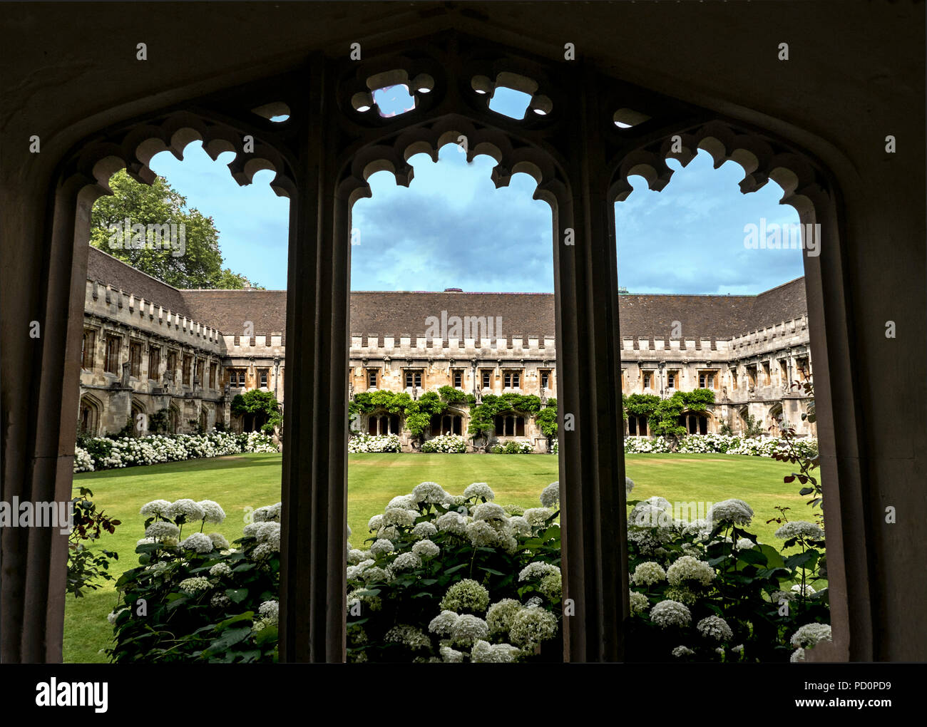 Vista attraverso i chiostri di Magdalen College chiostri e giardino, estate Foto Stock