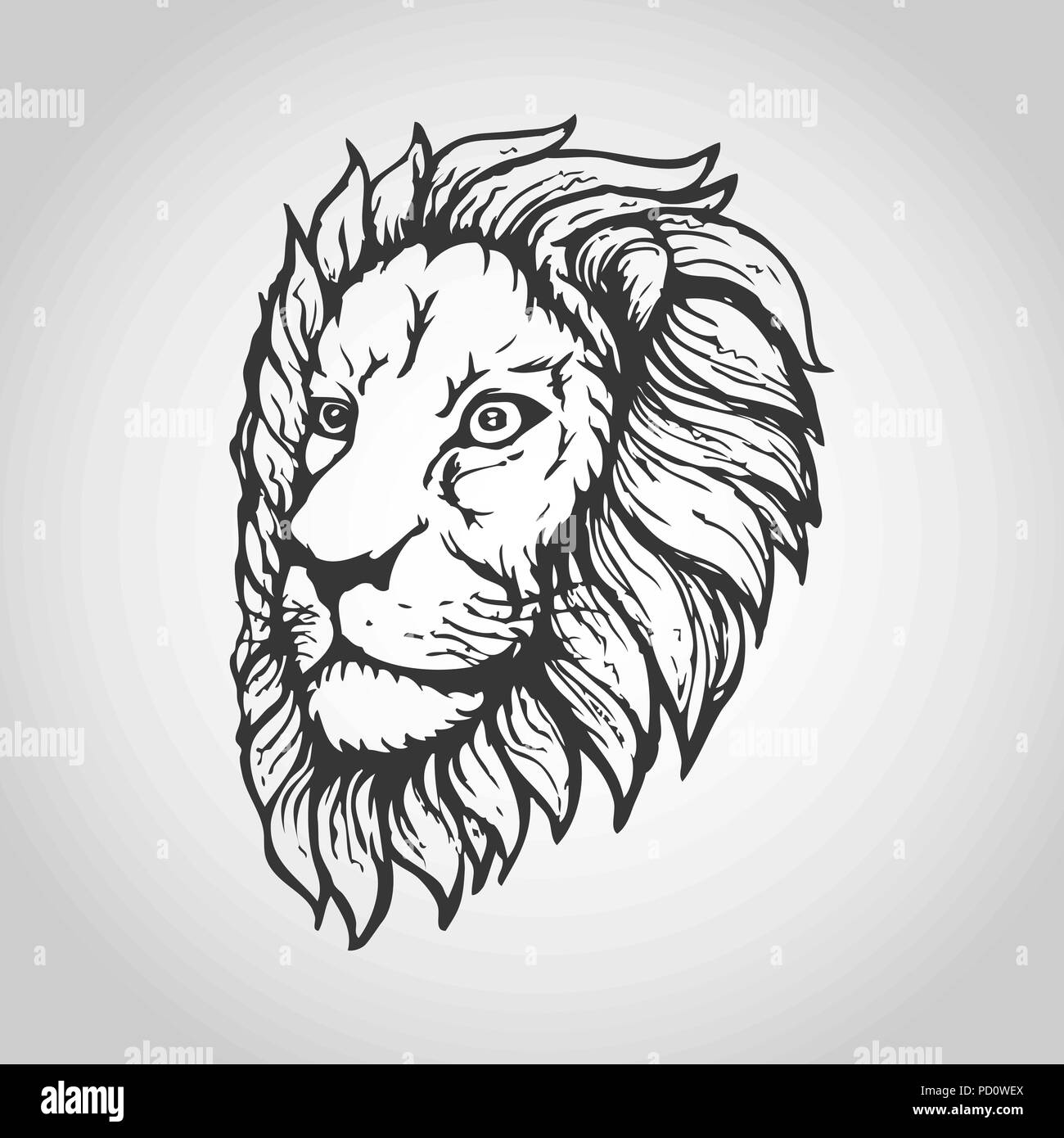 Lion isolati su sfondo bianco, illustrazione vettoriale. Illustrazione Vettoriale