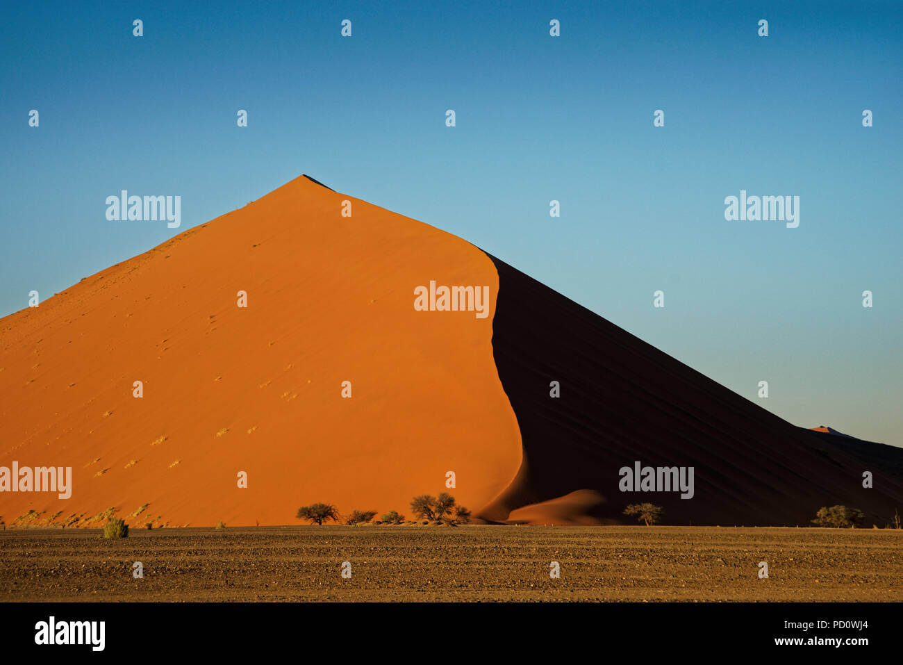 Dune 45 all'inizio della giornata prima di orde di arrivare Foto Stock