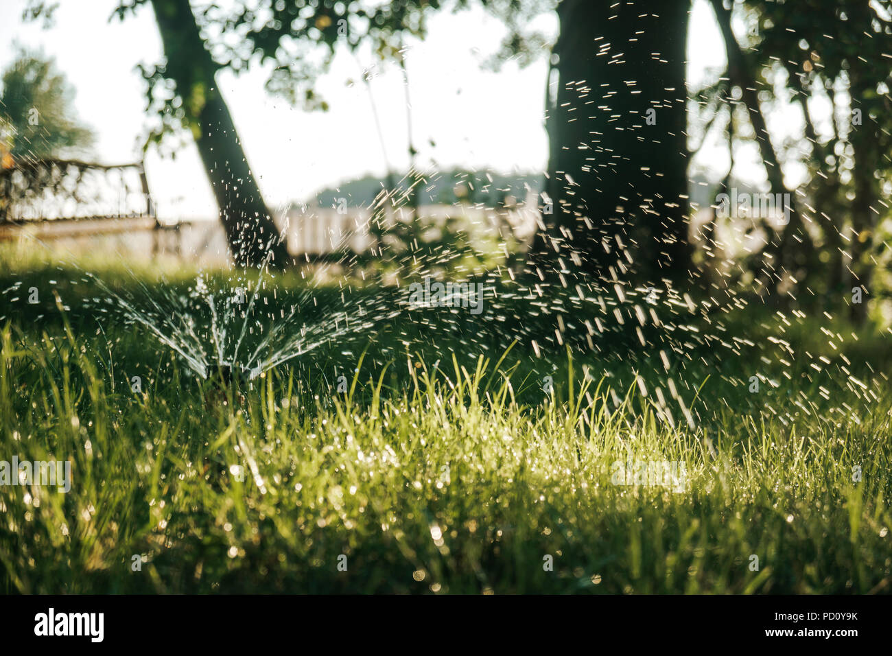 Foto di un irrigatore erba di irrigazione nel giardino in una calda giornata estiva Foto Stock